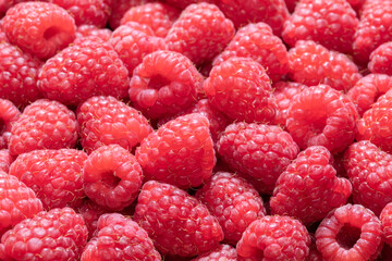 Fresh and sweet raspberries background. summer background