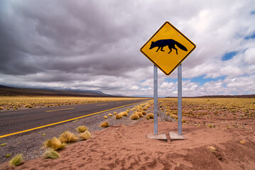 Wildlife warning sign on roadside