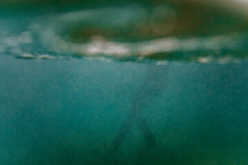 Silhouette of surfer into the water on winter day