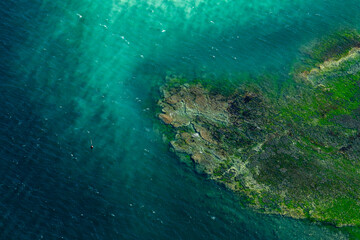 Reef with green sea