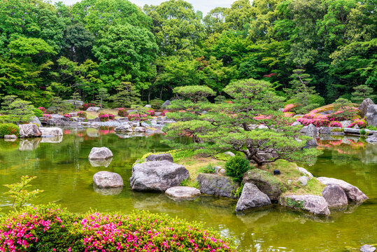 Lake in a japanese garden
