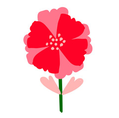 Red flower isolated on white background. Vector illustration