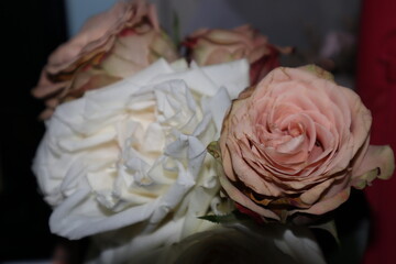 Bridal Bouquet Flower Close up shot 