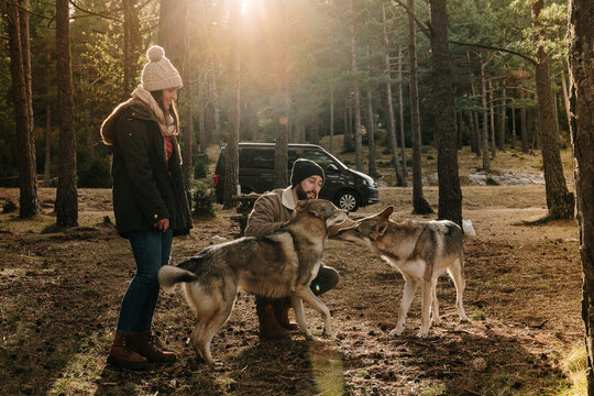 Young couple playing with wolf dogs in the forest