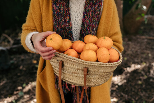 A bag full of mandarin fruits