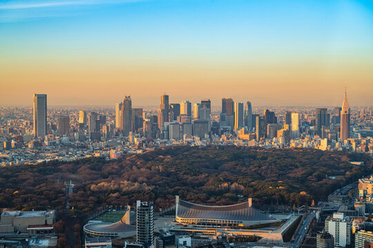 Tokyo Skyscrapers