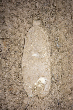 Plastic Bottle