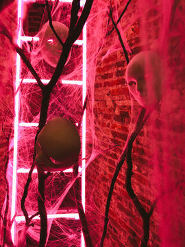 Installation of human masks hanging on tree in pink light