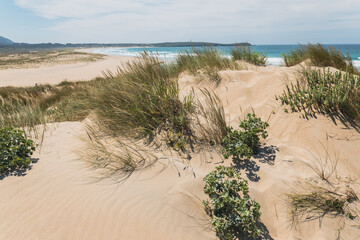 Beautiful beaches in Ferrol, Galicia. North of Spain 
