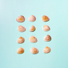Summer concept with seashells on blue background. Top view, flat lay