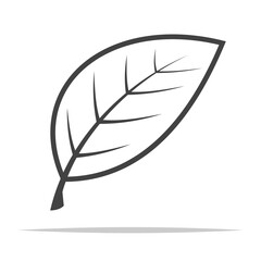 Leaf outline icon vector isolated