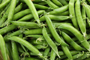 Fresh green pea on whole background, close up