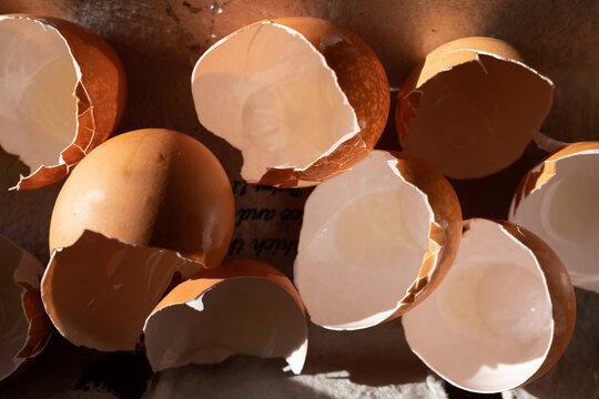 Egg's