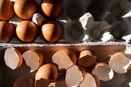 Egg's