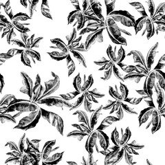 Black Banana Leaf Painting. White Isolated Jungle. Seamless Design. Pattern Garden. Watercolor Background. Tropical Palm. Botanical Set. Summer Set.