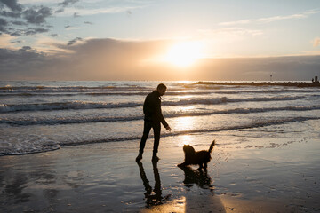 Man Relaxing on the beach at sunset with his dog