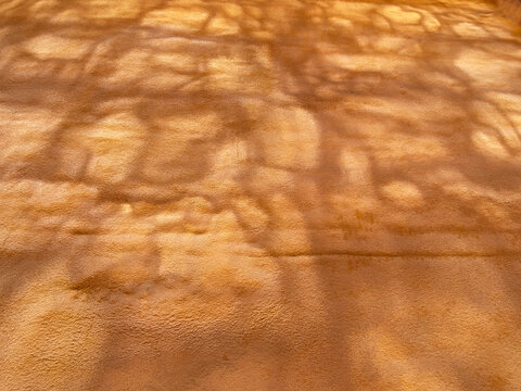 patchy orange wall
