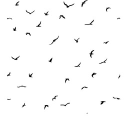 A flock of flying silhouette birds. Bird seamless pattern.