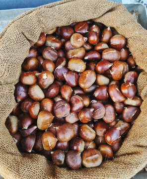 
Roasted chestnuts in a burlap sack