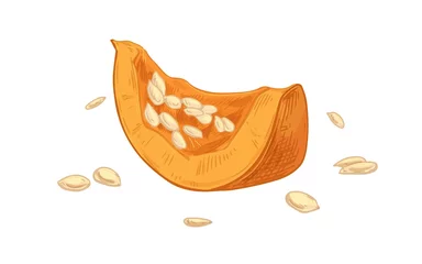 Gordijnen Piece of fresh ripe pumpkin with scattered seeds. Cut part of raw autumn squash. Fall orange vegetable drawn in vintage style. Realistic colored vector illustration isolated on white background © Good Studio