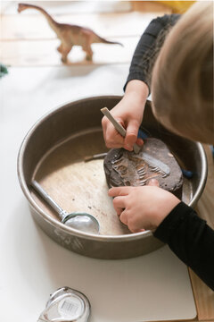 young girl's dinosaur excavation science in preschool 8