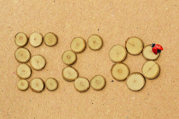 The word Eco made of wood slices with ladybug on recycled paper background - Concept of ecology