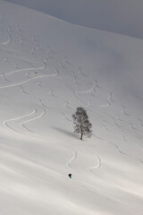 Skier descends from a mountain covered with fresh snow
