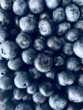 Blueberry Background