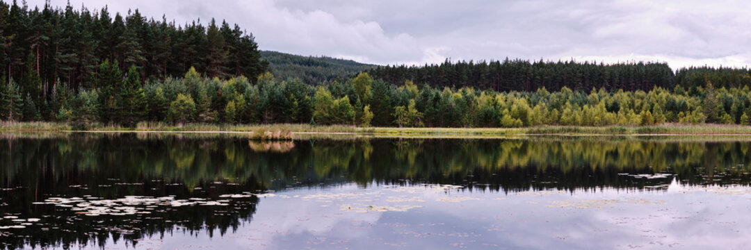 Reflections on the surface of Uath Lochans. Inshriach forest, Cairngorms, Scotland.