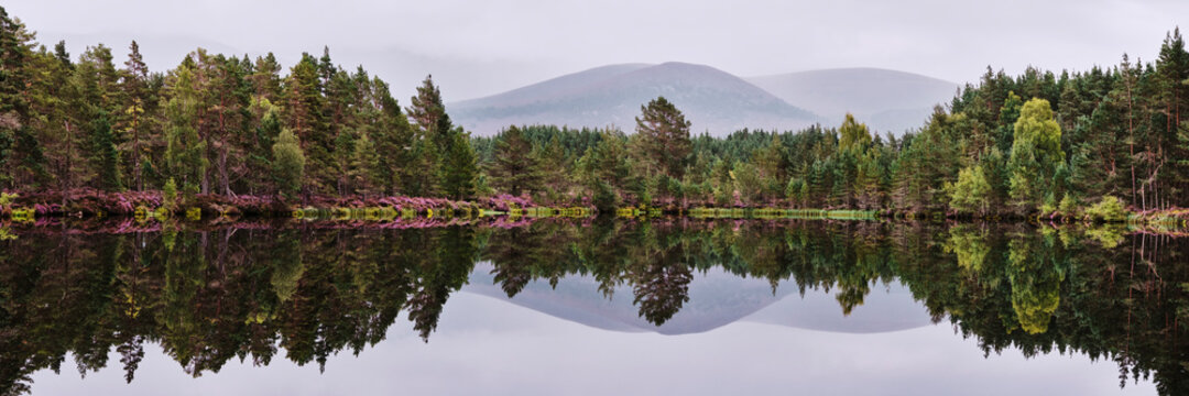 Reflections on the surface of Uath Lochans. Inshriach forest, Cairngorms, Scotland.