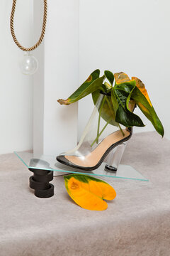 Abstract still-life with shoe and plants
