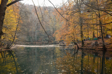 Autumn in Yedigöller National Park in Bolu. Colorful trees in autumn. Autumn in Turkey. Colorful shades of nature.