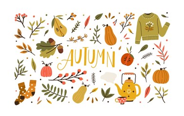 Autumn bundle of cute and cozy design elements. Set of fall twigs with leaves, foliage, berries, pumpkins, sweater, socks and tea cup. Colored flat vector illustration isolated on white background
