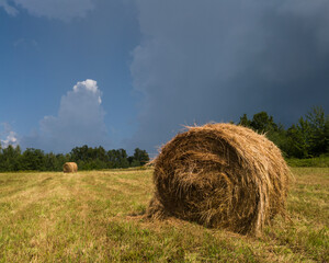 Rural landscape with hay stacks, field with roll bales near forest, domestic livestock fodder during wintertime, dark gloomy ominous storm clouds