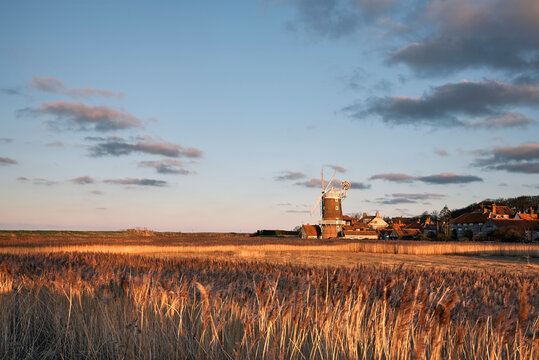 Cley Windmill and reeds at sunset. Cley next the sea, Norfolk, UK.