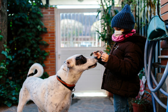 Kid with mask putting the leash to her dog