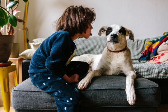 Kid mocking  dog pet