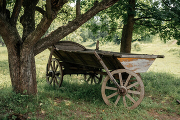 Fototapeta na wymiar An old farm wagon cart drawn by horses in rural surrounding
