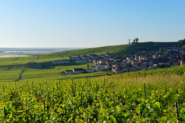 Fototapeta na wymiar Champagne vineyards and Verzenay village in the Reims mountain regional nature park