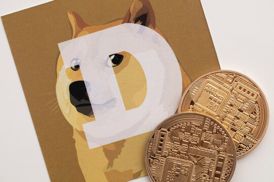 2 119 Best Dogecoin Images Stock Photos Vectors Adobe Stock 2 119 Best Dogecoin Images Stock Photos Vectors Adobe Stock