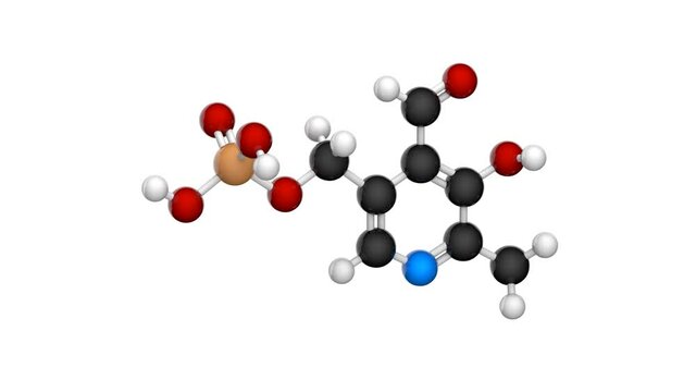 Molecular structure of Vitamin B6(Pyridoxal phosphate). 3D render. Seamless loop. Chemical structure model: Ball and Stick. White background.