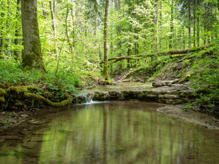 Fototapeta na wymiar Waterfall on stream in forest in Germany