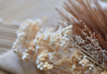 close up of dry flower
