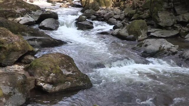 Wildes Wasser