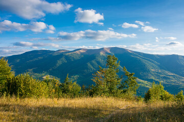 mountainous countryside landscape in autumn. trees on the meadow in evening light. view in to the distant ridge. wonderful nature scenery of transcarpathia. clouds above polonina krasna range