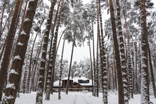 House In Winter Forest