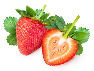 Red Strawberries isolated on white background, Fresh long stem berries, Organic Strawberry isolated on white background With clipping path.