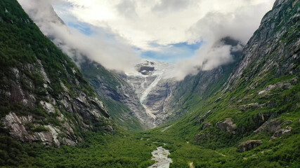 Beautiful green ears