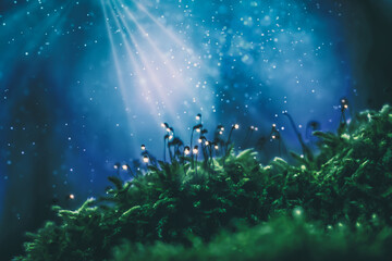 Fototapeta na wymiar Mystery forest, glowing green moss against glitter blue light
