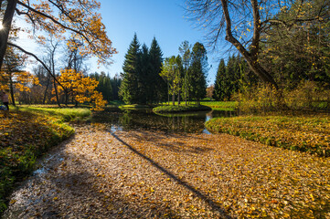 View of city park